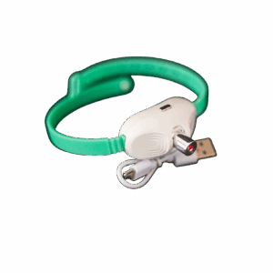 Coleira Point Laser - Pet laser self toy